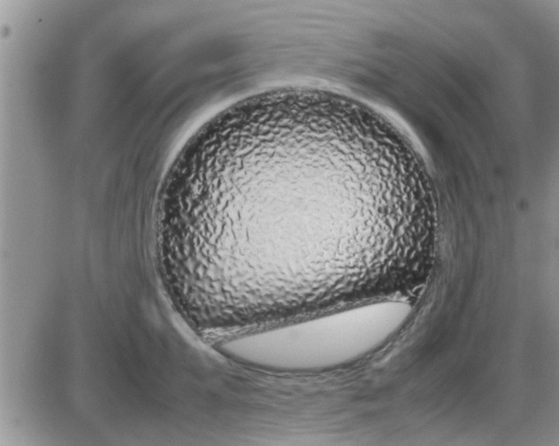 X0000085310903200703231920