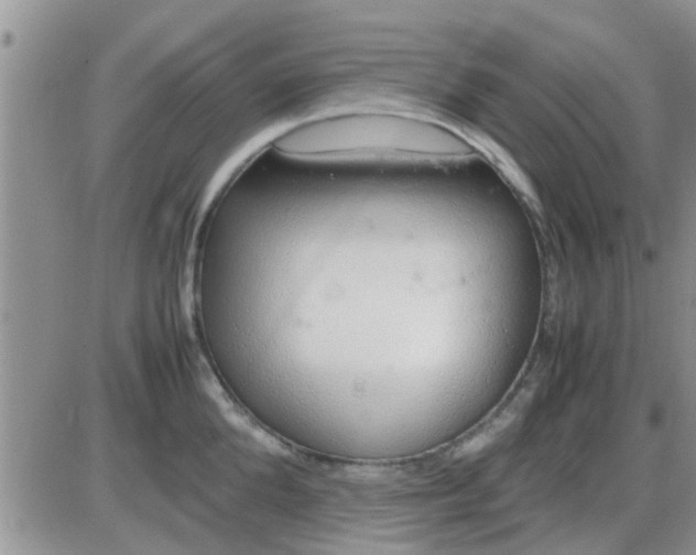 X0000085310904200703231920