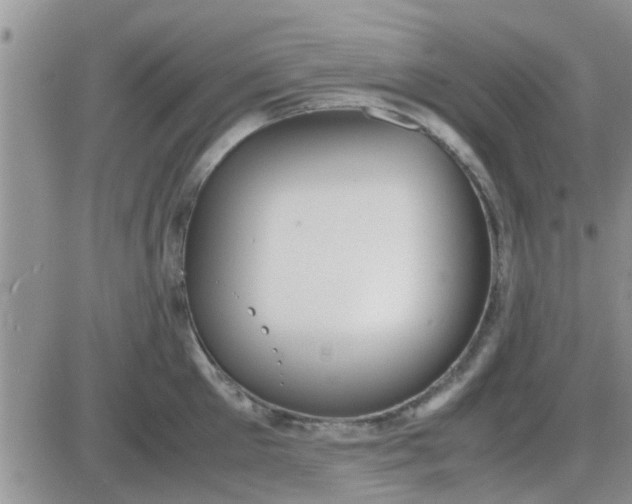 X0000085310905200703231920