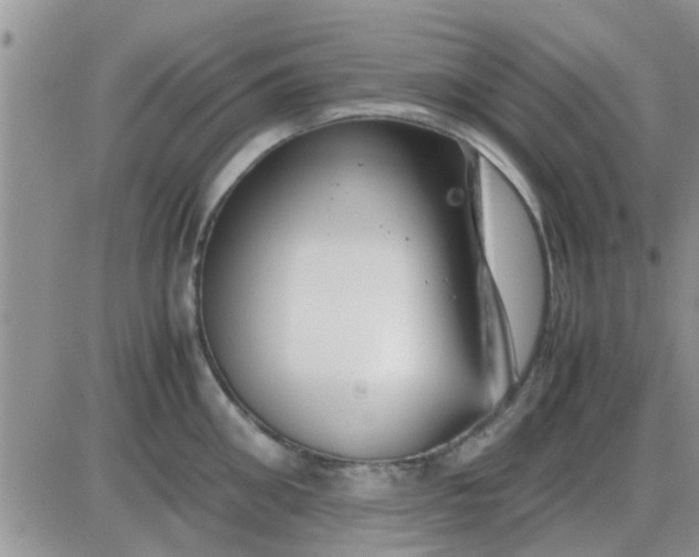 X0000085310906200703231920