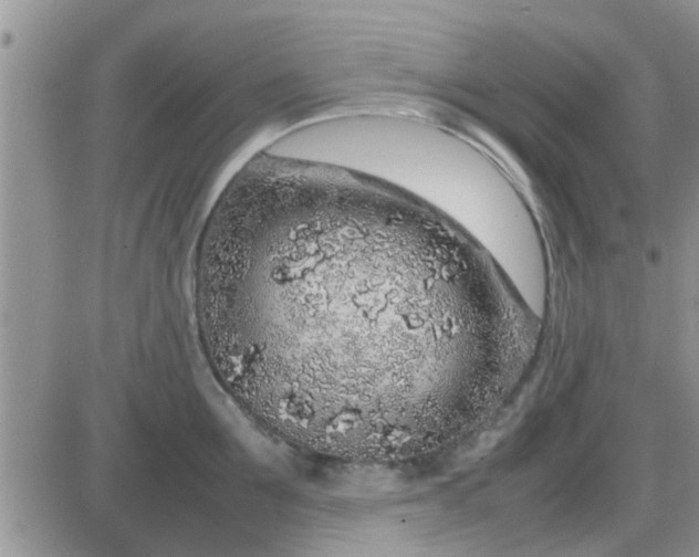 X0000085310907200703231920