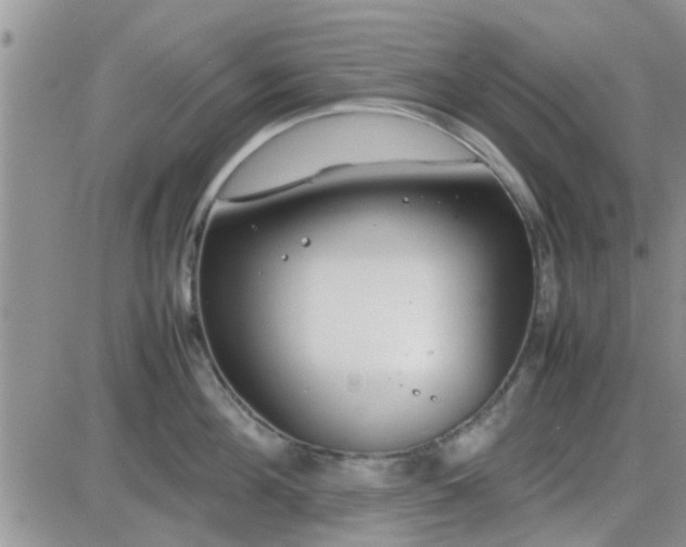 X0000085310908200703231920