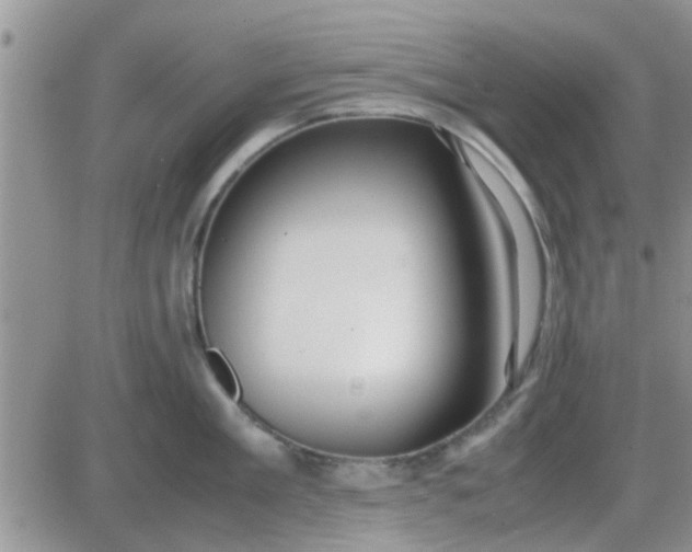 X0000085310909200703231920