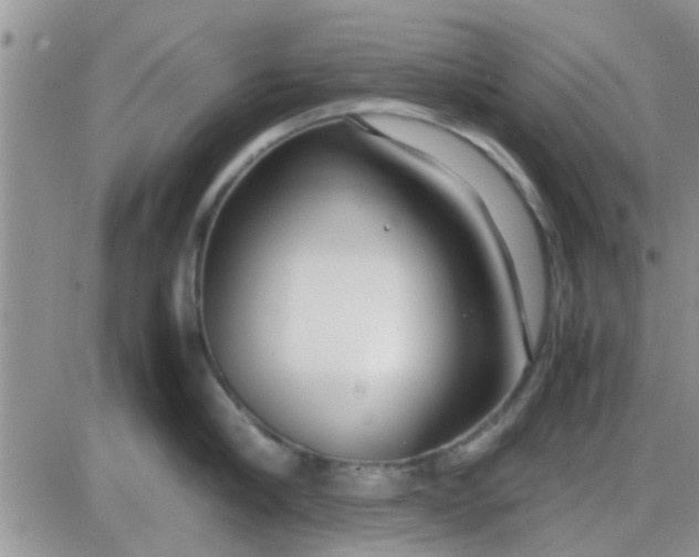 X0000085310910200703231920