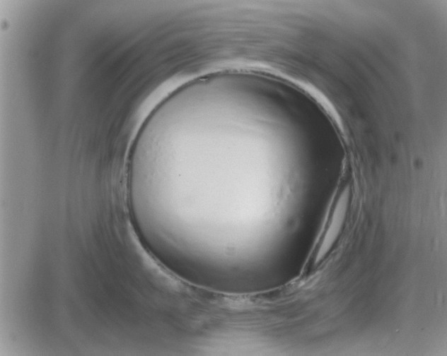 X0000085310911200703231920