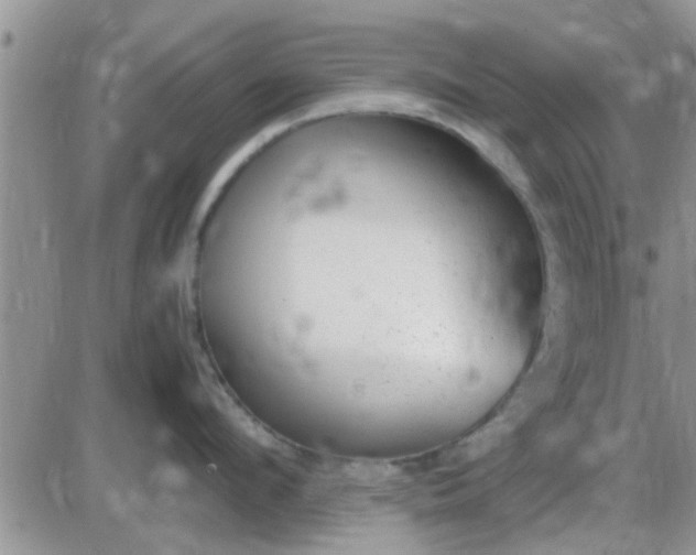 X0000085310912200703231920