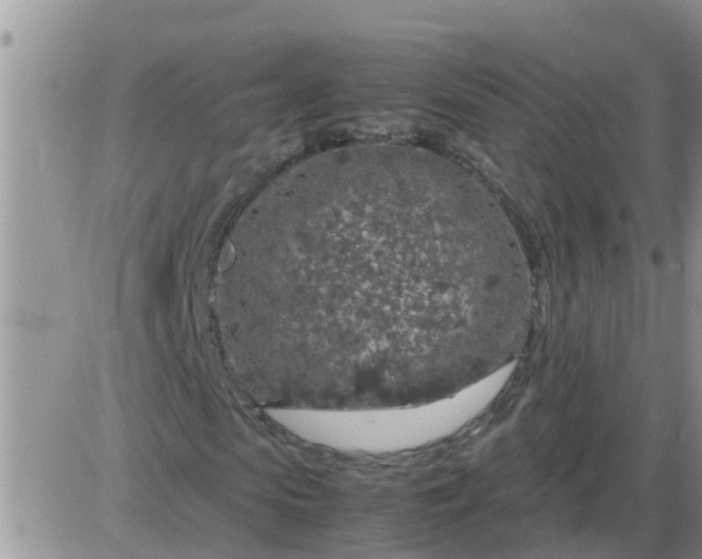 X0000085310913200703231919