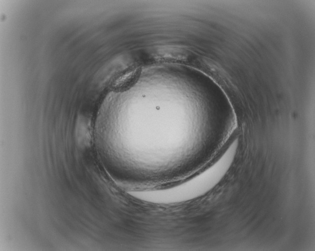 X0000085310915200703231920