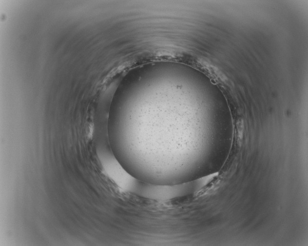 X0000085310916200703231920