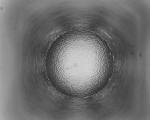 X0000085310917200703231920