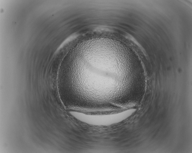 X0000085310919200703231920