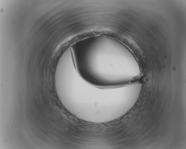 X0000085310920200703231920