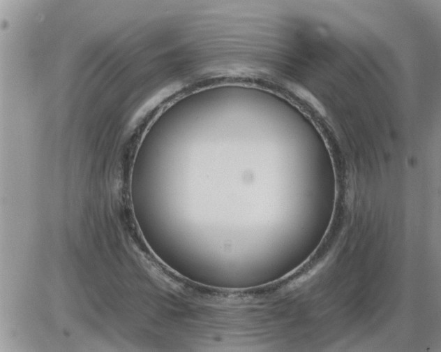 X0000085310922200703231920