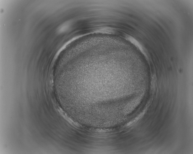 X0000085310923200703231920