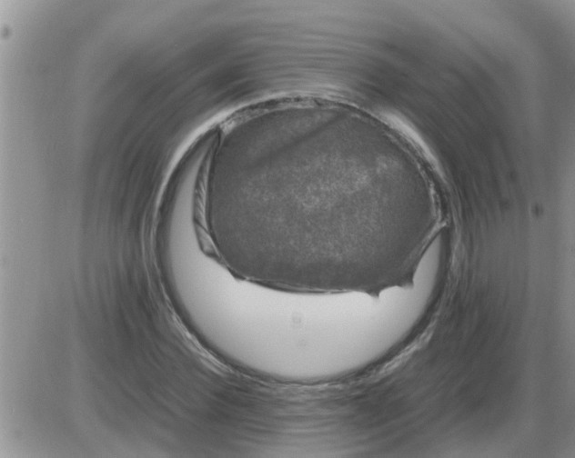 X0000085310924200703231920