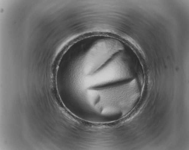 X0000085310926200703231920