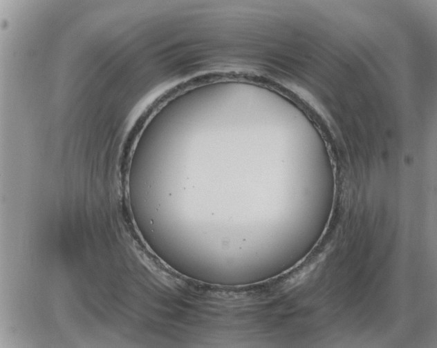 X0000085310927200703231920