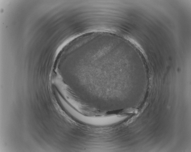 X0000085310928200703231920