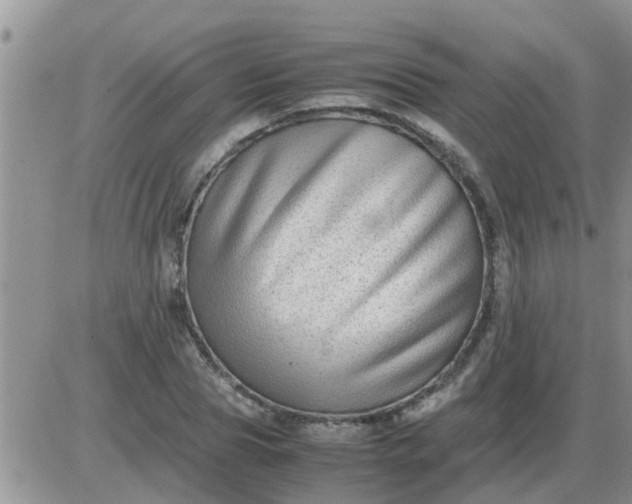 X0000085310929200703231920