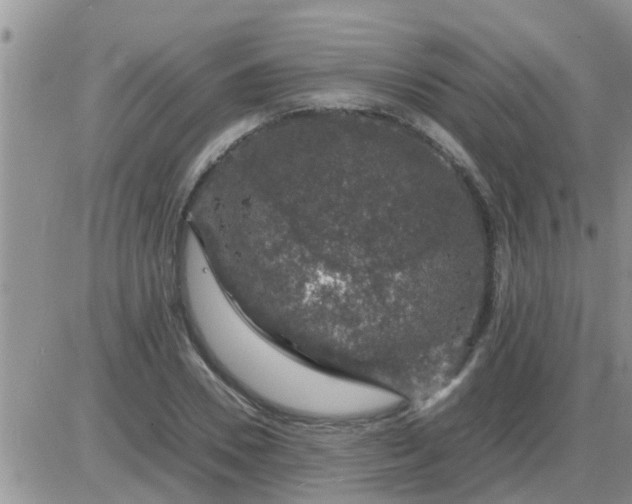 X0000085310930200703231920