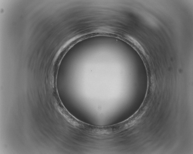 X0000085310931200703231920