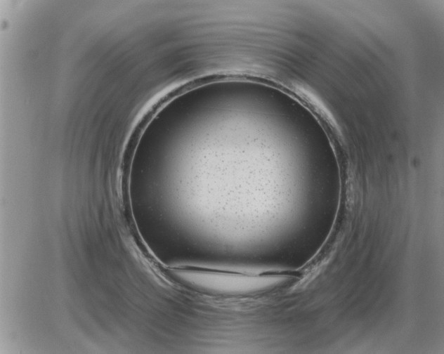 X0000085310932200703231920