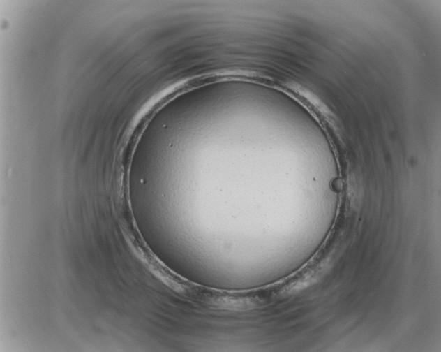 X0000085310933200703231920