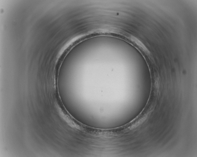 X0000085310934200703231920