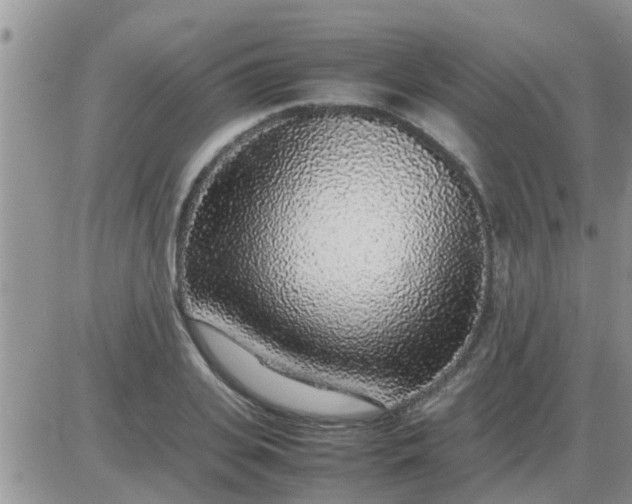 X0000085310935200703231920