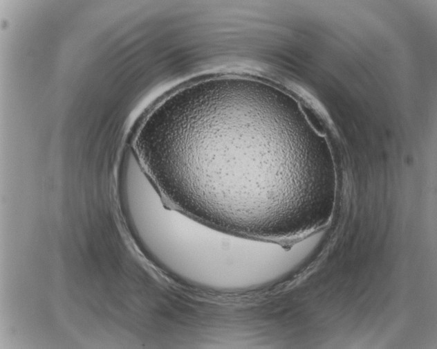 X0000085310936200703231920