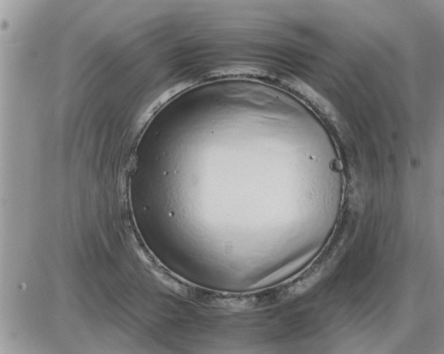 X0000085310937200703231920