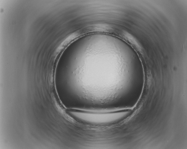 X0000085310938200703231920