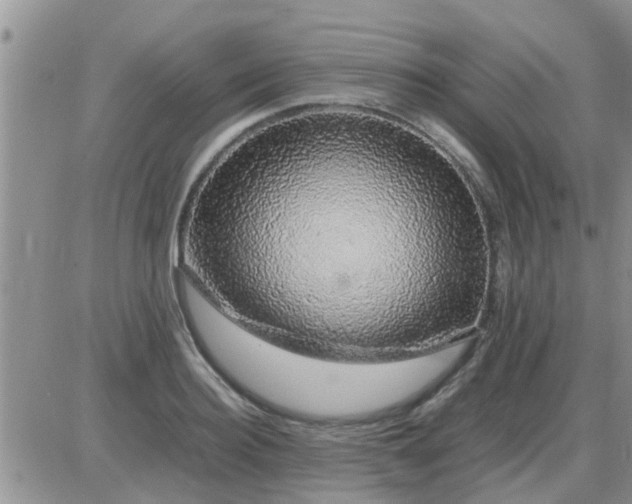 X0000085310940200703231920