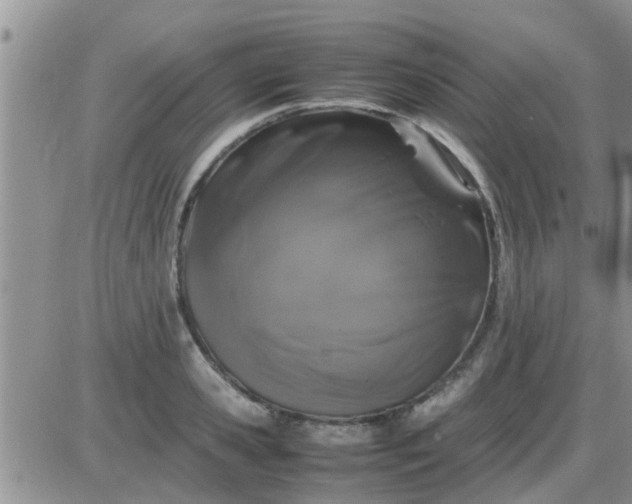 X0000085310941200703231920