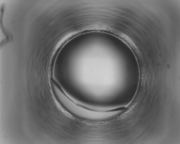 X0000085310942200703231920