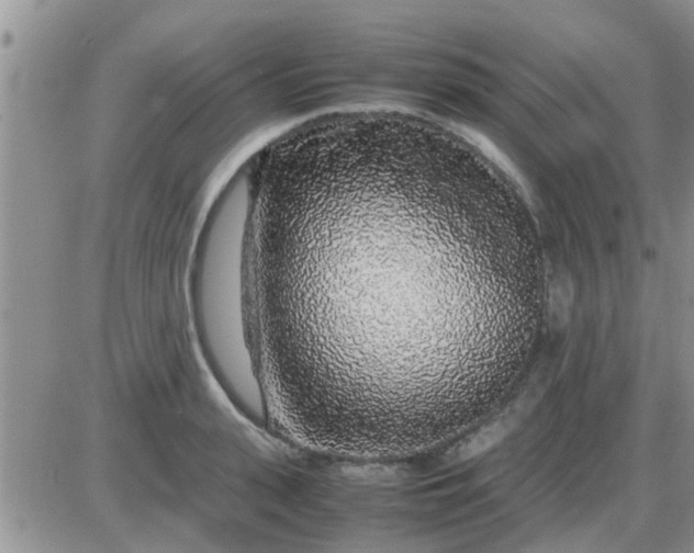 X0000085310943200703231920