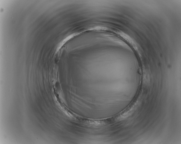 X0000085310945200703231920