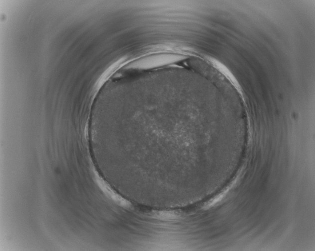 X0000085310946200703231920