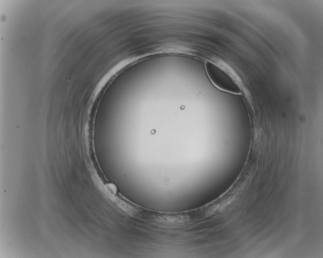 X0000085310947200703231920