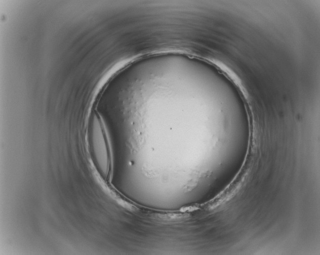 X0000085310949200703231920