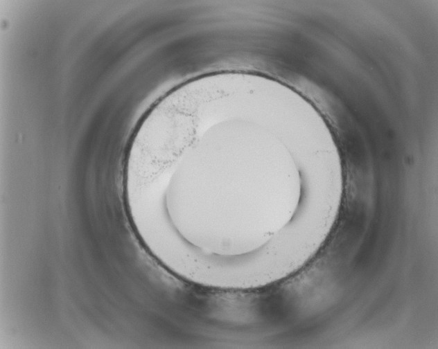 X0000085310950200703231920