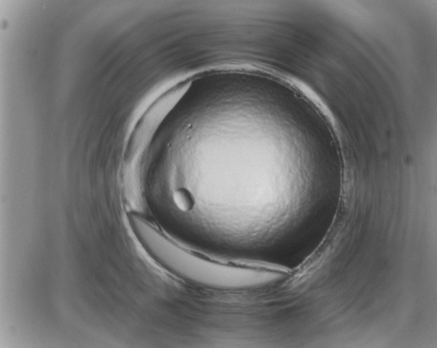 X0000085310951200703231920