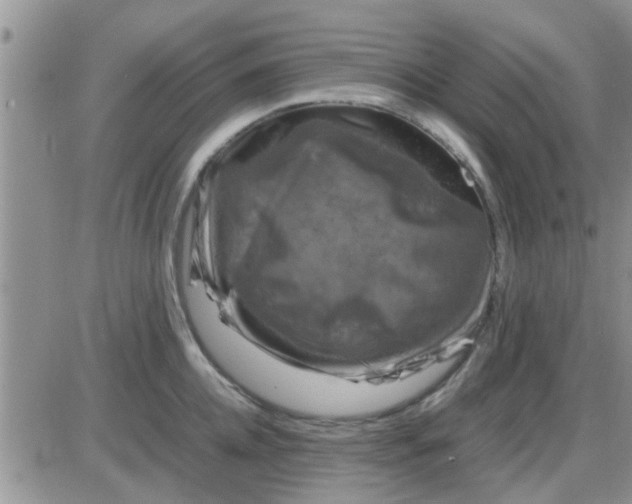 X0000085310952200703231920