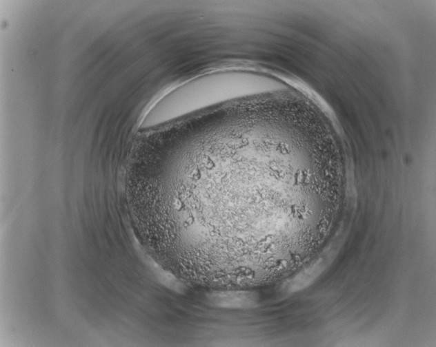 X0000085310953200703231920