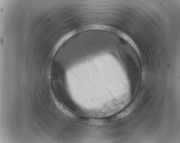 X0000085310954200703231920