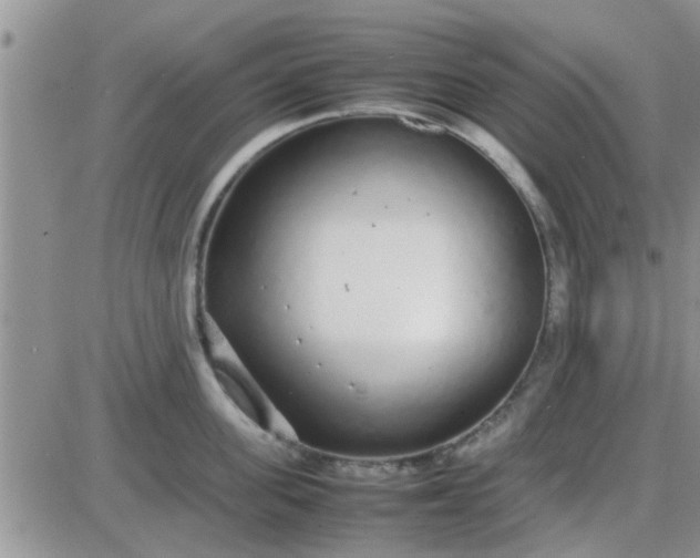 X0000085310955200703231920