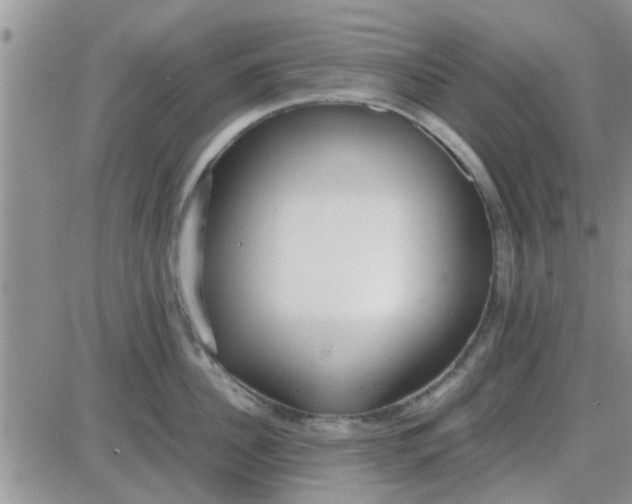 X0000085310956200703231920