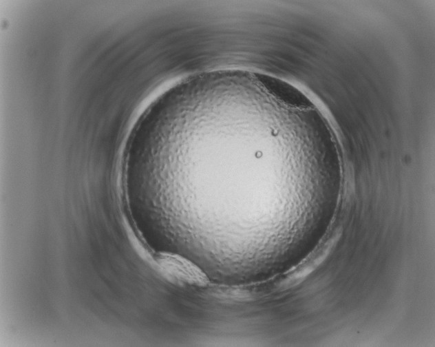 X0000085310957200703231920