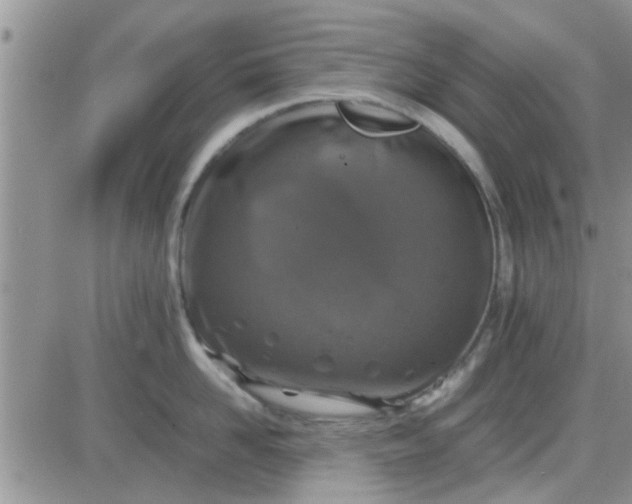 X0000085310958200703231920