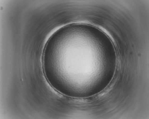 X0000085310959200703231920